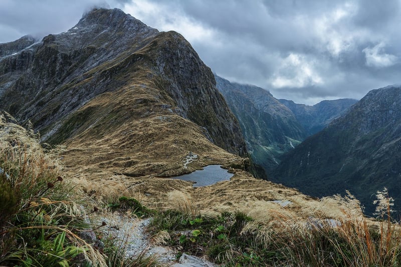 Paddling through Milford Sound